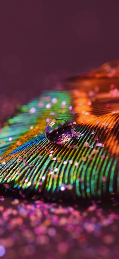 Fond d'écran iPhone Feather Drop