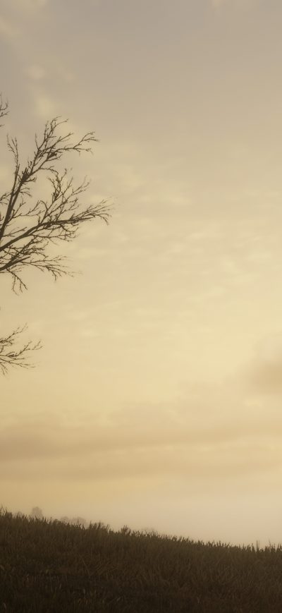 Fond d'écran iPhone 2018 Red Dead Redemption 2 PS4 4k
