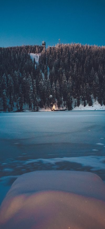 Fond d'écran iPhone Winter Forest Landscape Mountains Snow Trees