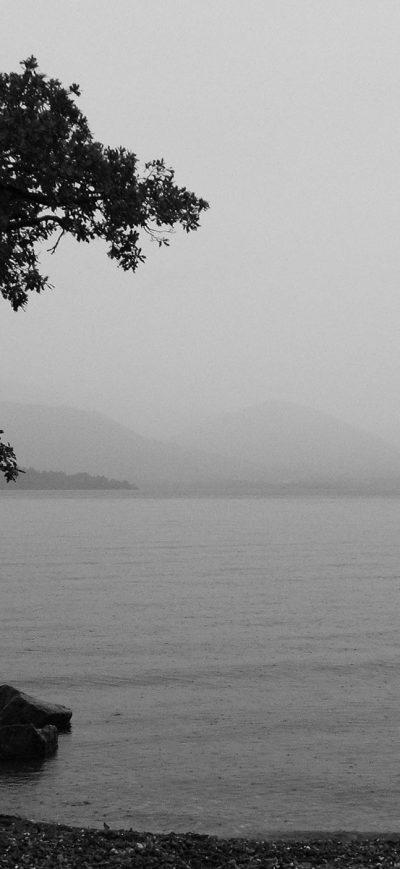 Fond d'écran iPhone Monochrome Nature