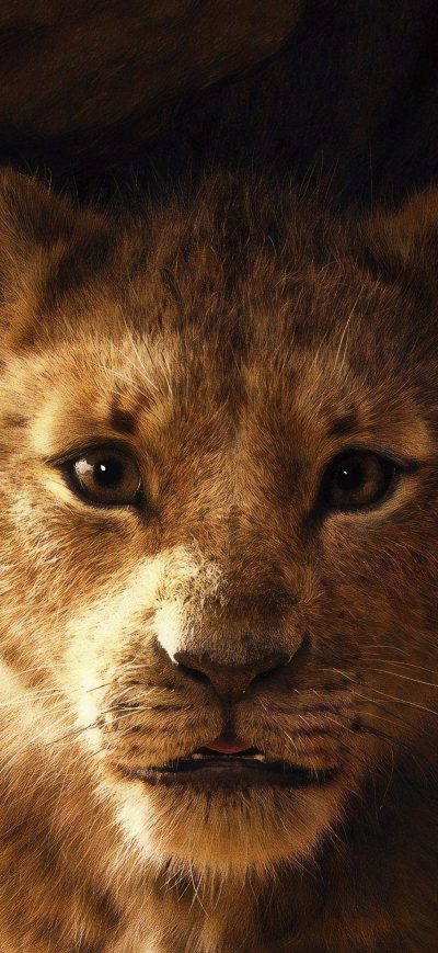 Fond d'écran iPhone The Lion King 2019