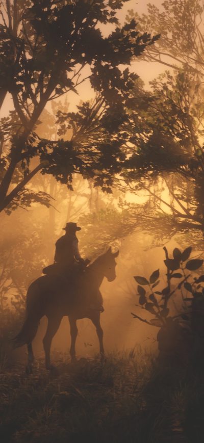 Fond d'écran iPhone Red Dead Redemption 4k 2