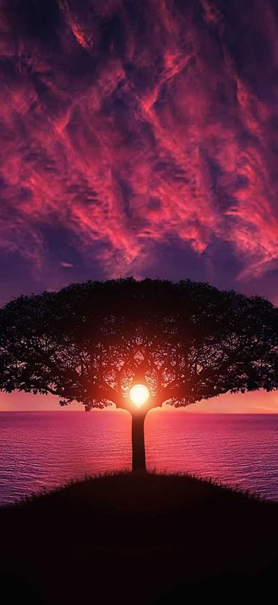 Fond d'écran iPhone Sunset Tree Red Ocean Sky