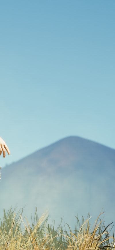 Fond d'écran iPhone Far Cry 5 Faith Seed