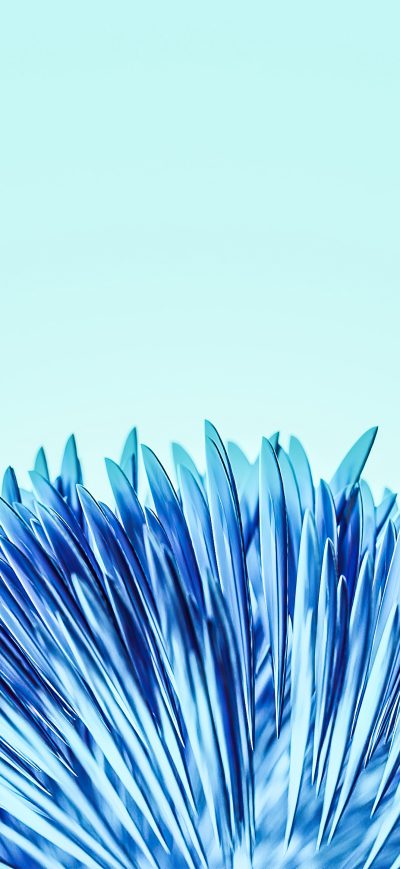Fond d'écran iPhone 3d Render Flower 5k