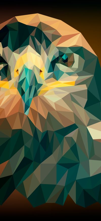 Fond d'écran iPhone Artistic Abstract Owl