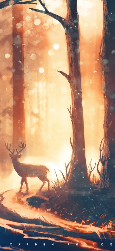 Fond d'écran iPhone Deer Forest Sunbeams