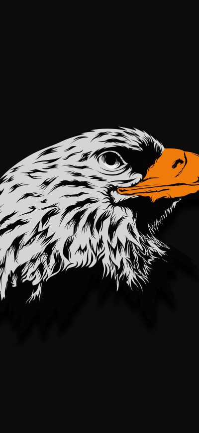 Fond d'écran iPhone Eagle Dark Illustration 8k