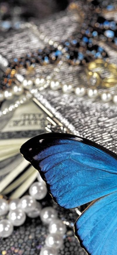 Fond d'écran iPhone Blue Butterfly On Pearls