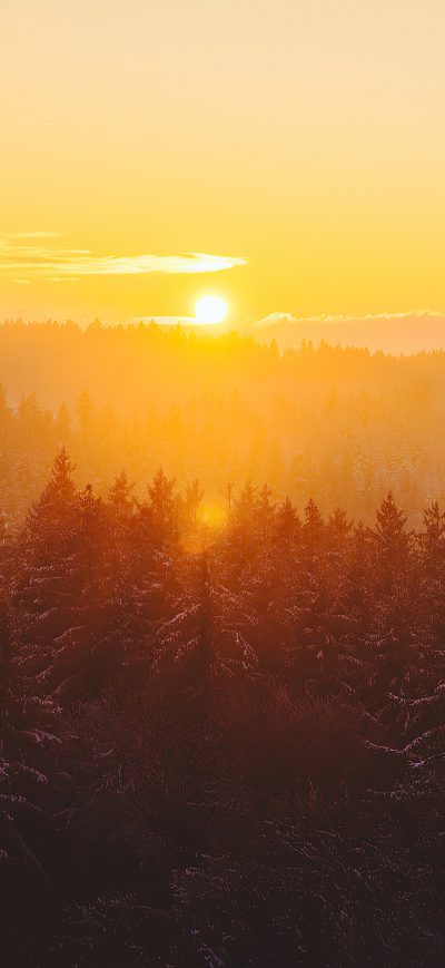 Fond d'écran iPhone Golden Hour Foggy Landscape 4k