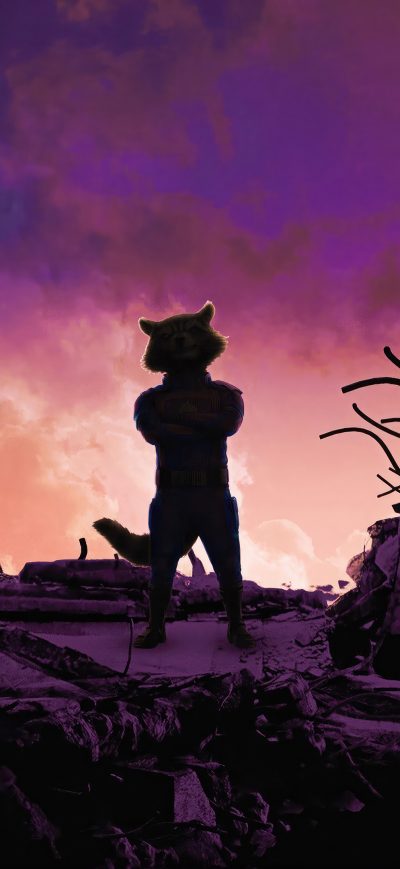 Fond d'écran iPhone Rocket Raccoon In Guardians Of The Galaxy Vol 3 4k