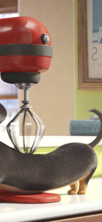 Fond d'écran iPhone Secrete Life of Pets Movie