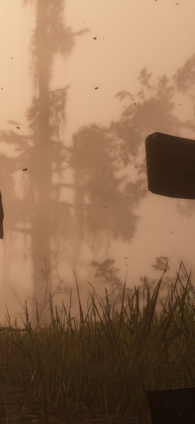Fond d'écran iPhone Red Dead Redemption 2 2018 4k