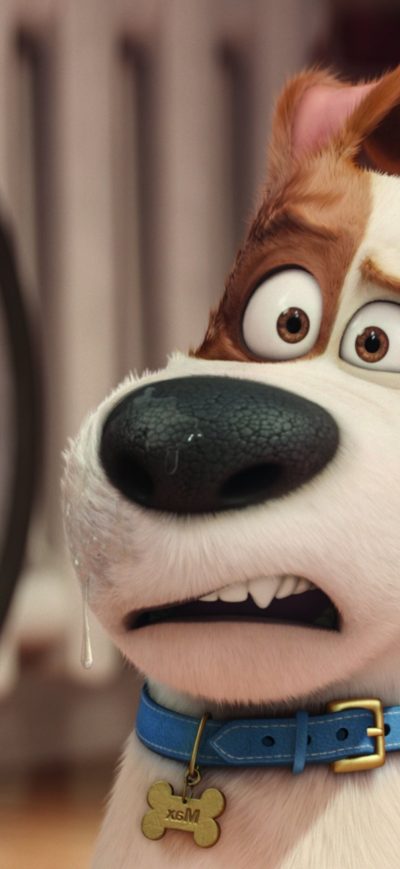 Fond d'écran iPhone The Secrete Life of Pets Movie HD