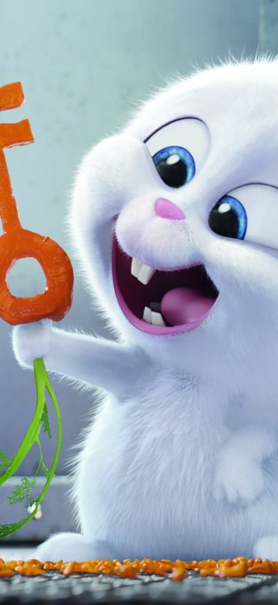 Fond d'écran iPhone The Secrete Life of Pets Bunny