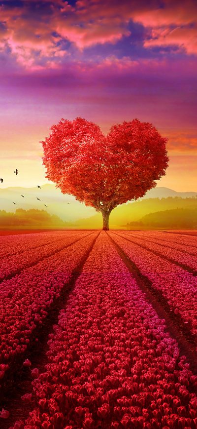 Fond d'écran iPhone Heart Tree Field 4k