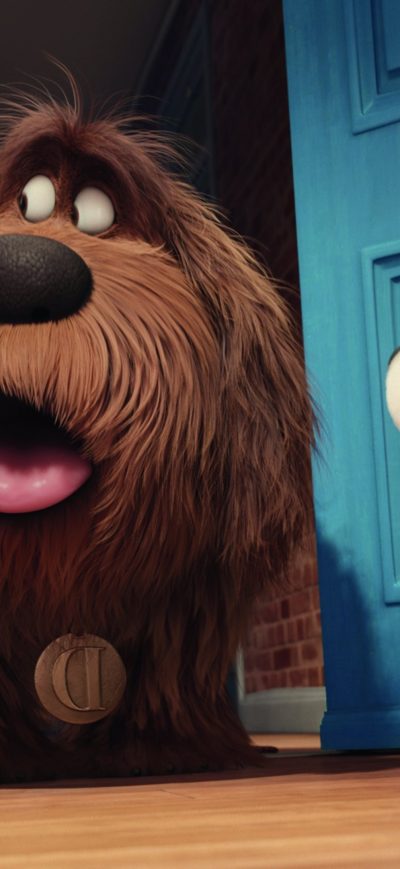 Fond d'écran iPhone The Secrete Life of Pets Movie Original
