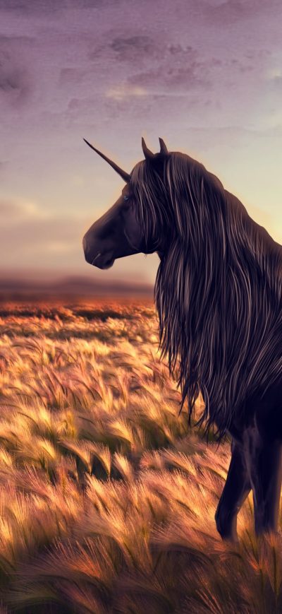 Fond d'écran iPhone Unicorn In Field
