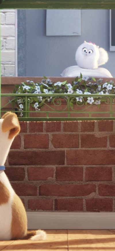 Fond d'écran iPhone The Secrete Life of Pets Movie Main Character