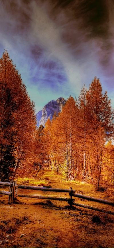 Fond d'écran iPhone Alpine Mountains Autumn Forest Trees