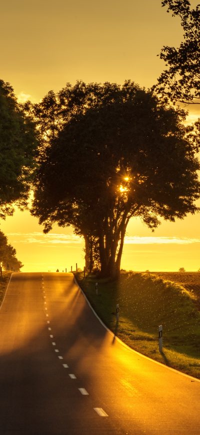 Fond d'écran iPhone Road Sunset Back Light 5k