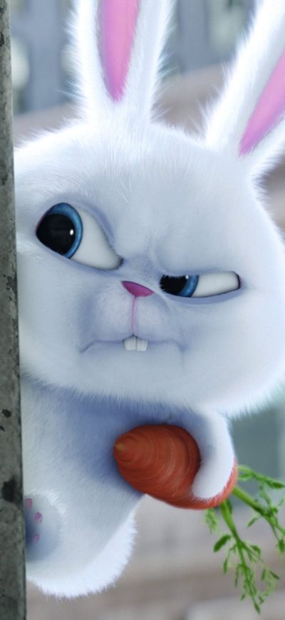 Fond d'écran iPhone Bunny The Secrete Life of Pets Movie