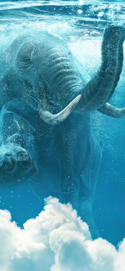 Fond d'écran iPhone Elephant Under Water Manipulation 4k