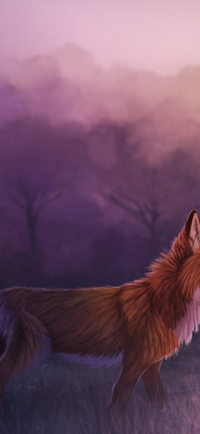 Fond d'écran iPhone Misty Red Fox 4k
