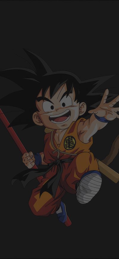 Fond d'écran iPhone Goku Chico