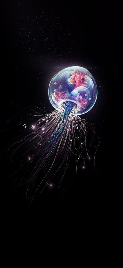 Fond d'écran iPhone Jellyfish Minimalist 4k