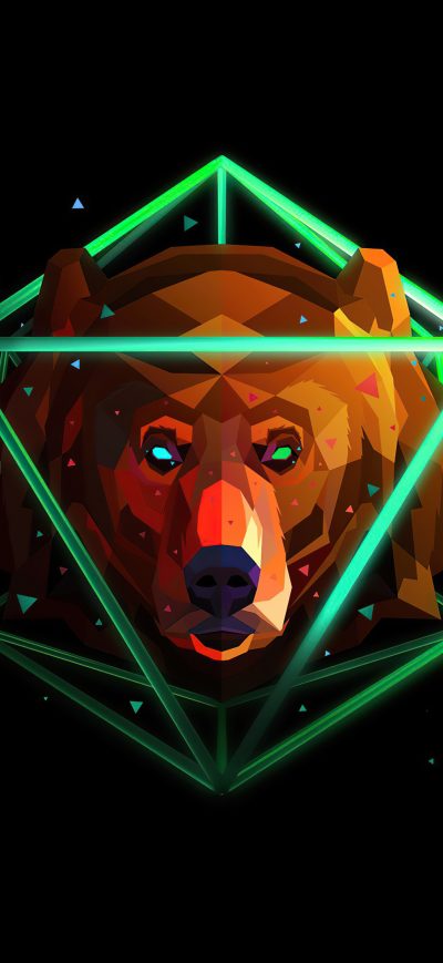 Fond d'écran iPhone Bear Justin Maller 4k