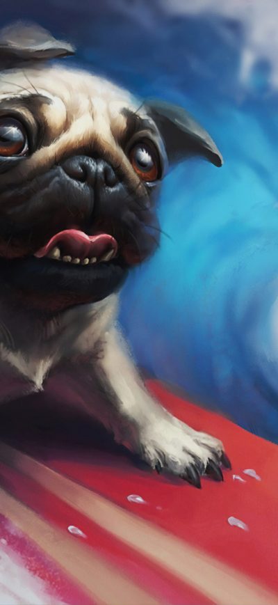 Fond d'écran iPhone Pug Surfing