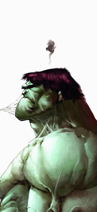 Fond d'écran iPhone Spiderman Hulk Funny