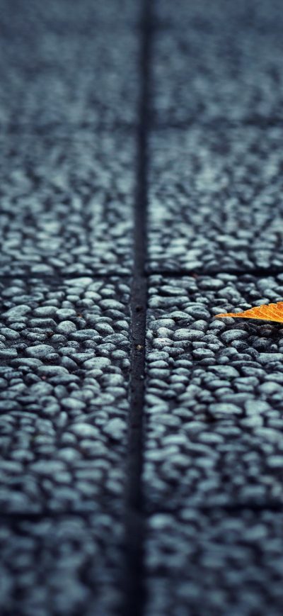 Fond d'écran iPhone Fallen Leaf Autumn