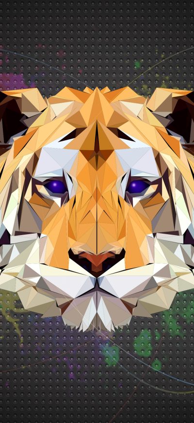 Fond d'écran iPhone Tiger Facets