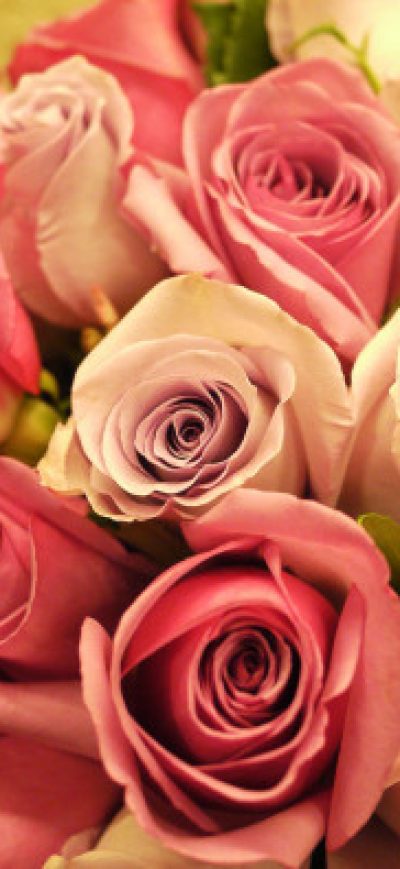 Fond d'écran iPhone Pink Roses Bouquet