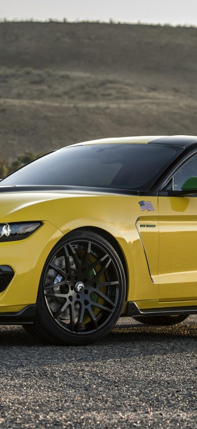 Fond d'écran iPhone Ford Mustang Gt350