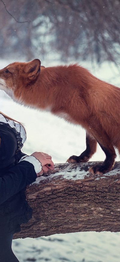 Fond d'écran iPhone Fox With Girl Depth Of Field