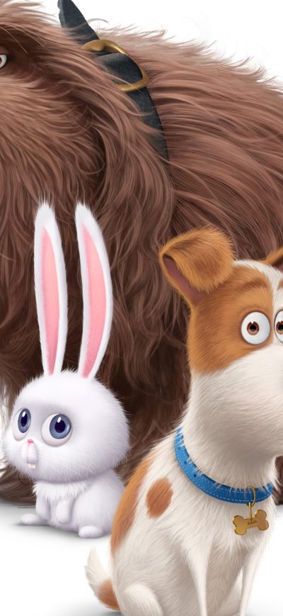 Fond d'écran iPhone The Secrete Life of Pets Movie Dogs