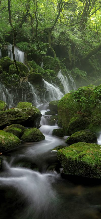 Fond d'écran iPhone Water Steam Fog Greenery 8k