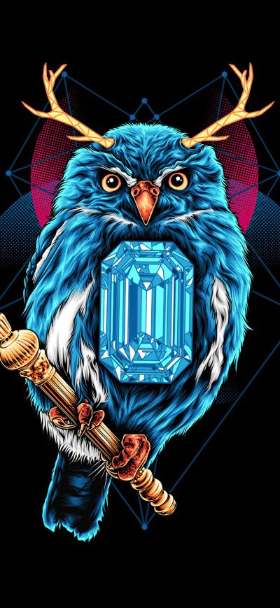 Fond d'écran iPhone Owl Dark Black 4k
