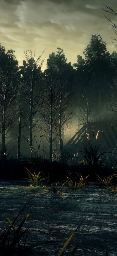 Fond d'écran iPhone The Witcher 3 Wild Hunt 8k