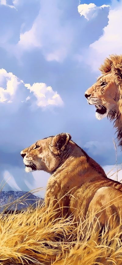 Fond d'écran iPhone Lion Lioness Artwork 4k