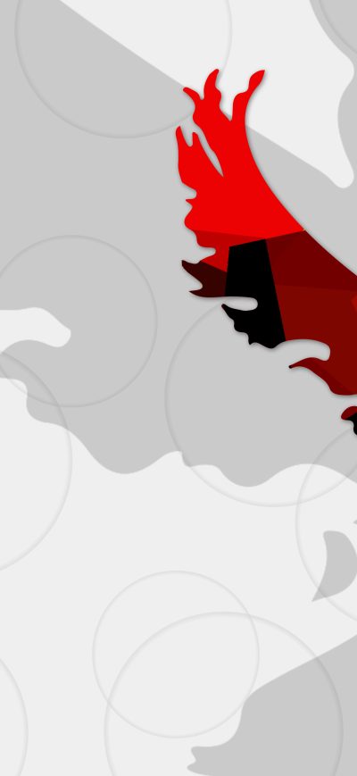 Fond d'écran iPhone Team Valor Pokemon Go 4k