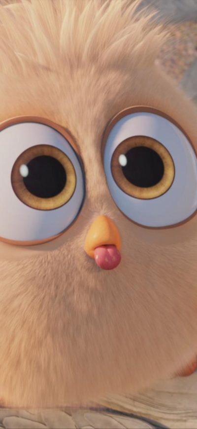 Fond d'écran iPhone Hatchling In The Angry Birds Movie