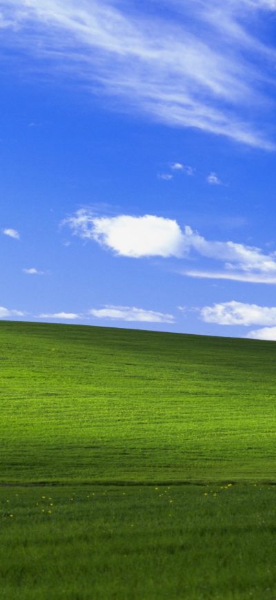Fond d'écran iPhone Windows Xp Bliss 4k