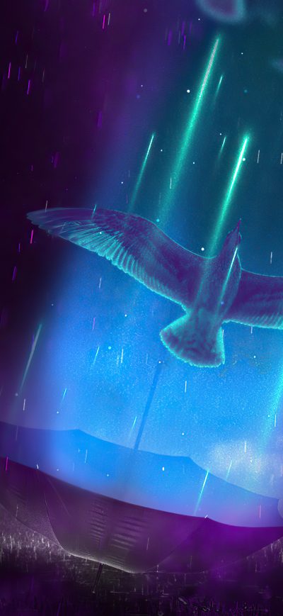 Fond d'écran iPhone Life Bird Umbrella Rain Night 4k