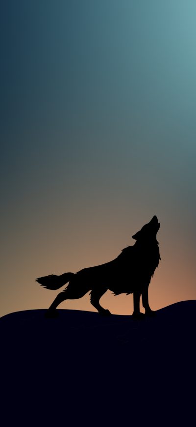 Fond d'écran iPhone Wolf Howling 4k