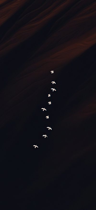 Fond d'écran iPhone Flying Birds Minimal 4k