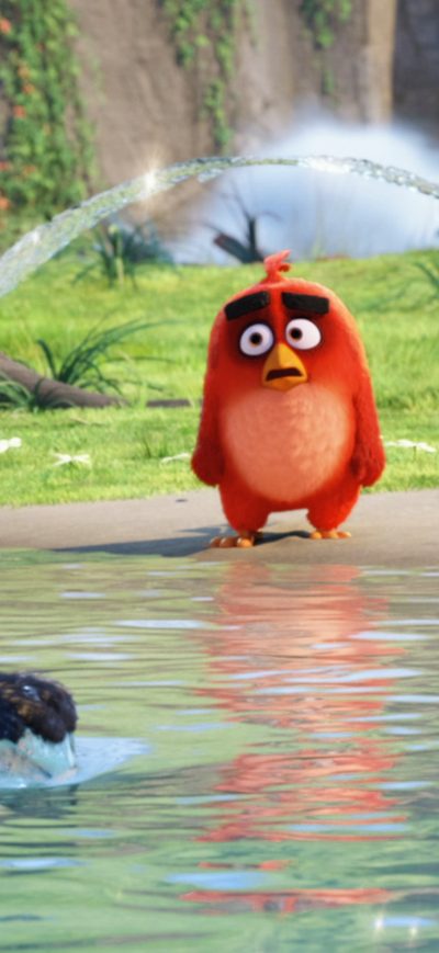 Fond d'écran iPhone The Angry Birds Movie Latest